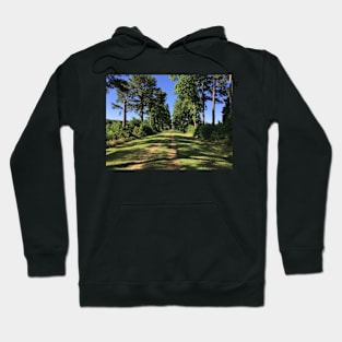 Plantation in the spring Hoodie